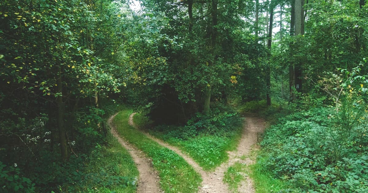 Hard Limits vs. Soft Nudges: Which Works Better for Screen Time?